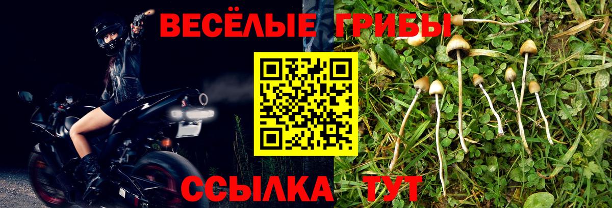 Татарск  Псилоцибиновые грибы Cubensis  Галлюциногенные грибы Cubensis  Вход с VPN 